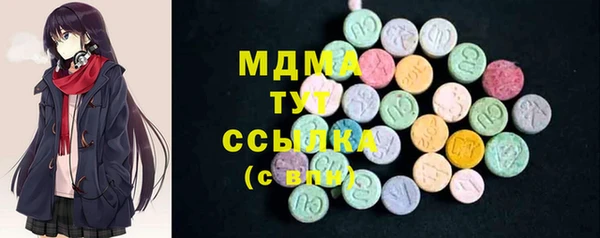 хмурый Арсеньев