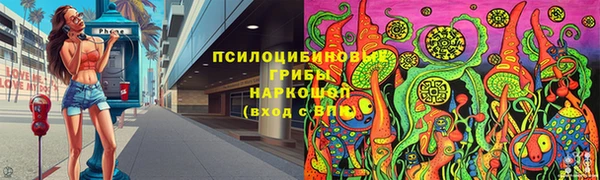 хмурый Арсеньев