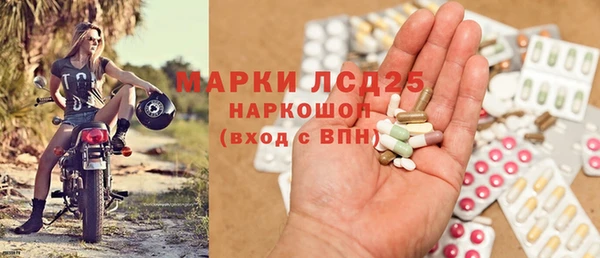 мяу мяу мука Алзамай