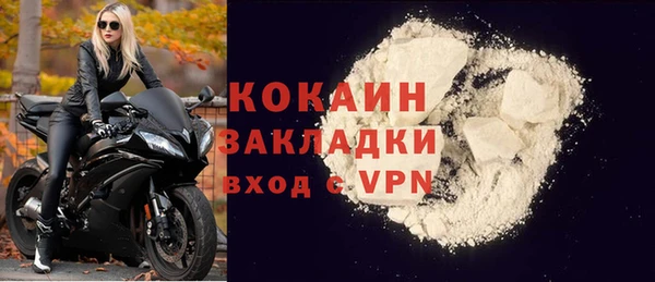 хмурый Арсеньев