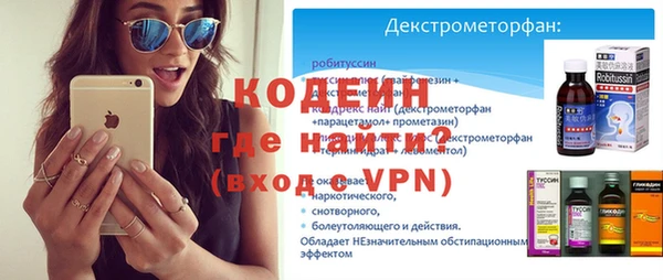 хмурый Арсеньев