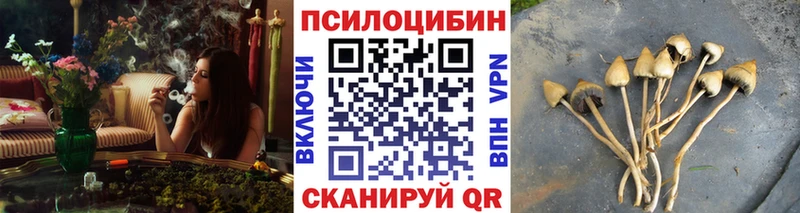 Псилоцибиновые грибы GOLDEN TEACHER  Купить закладки  Тула 